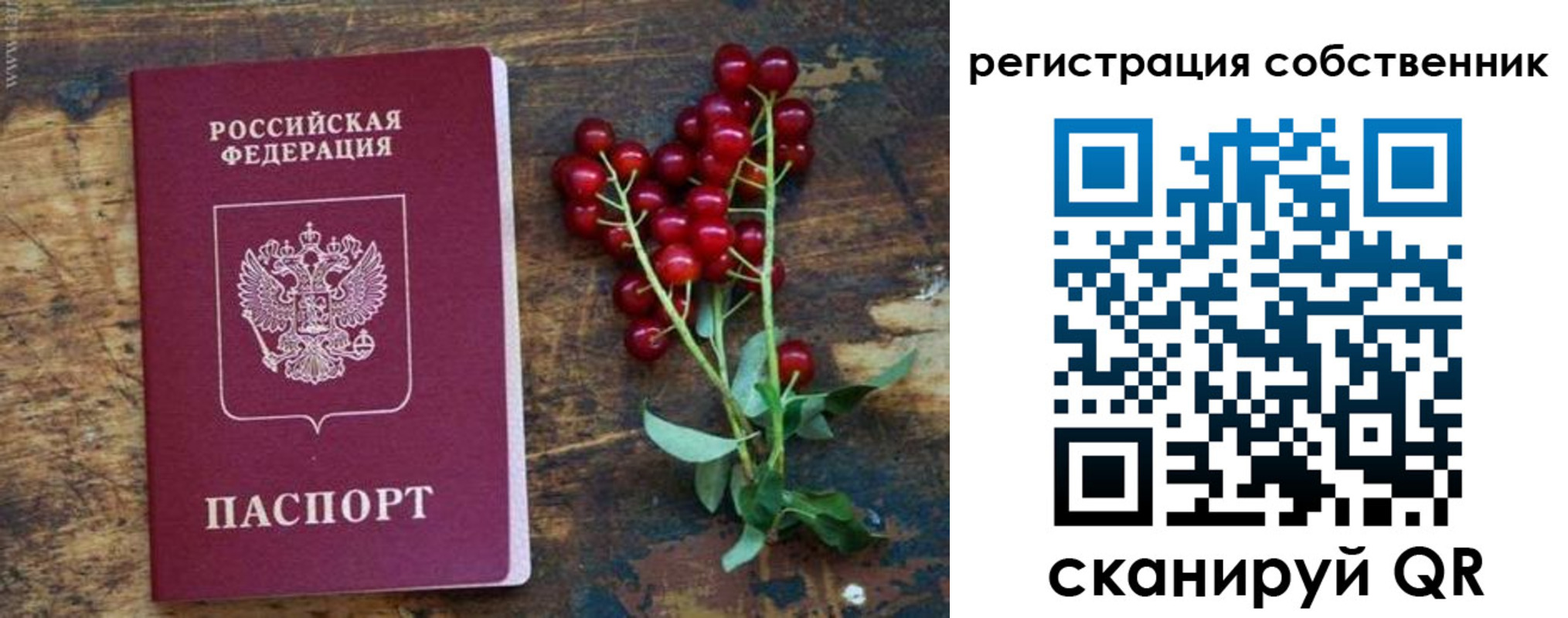 регистрация для дет. сада в Прокопьевске